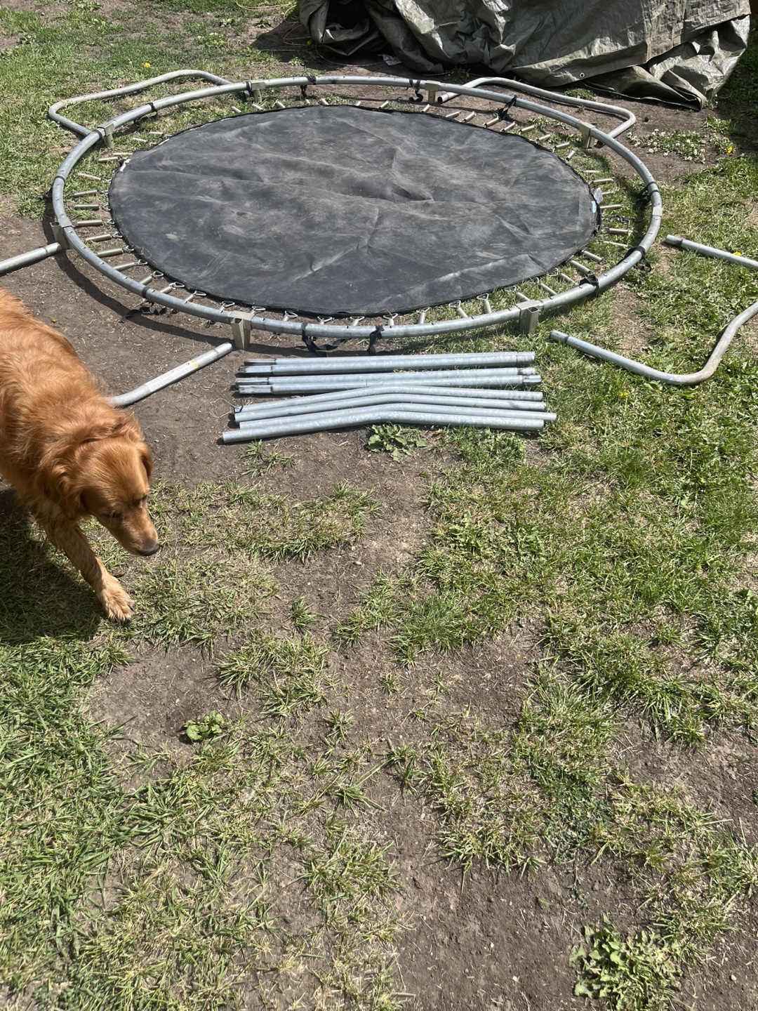 Trampoline - Disassembled - photo 3