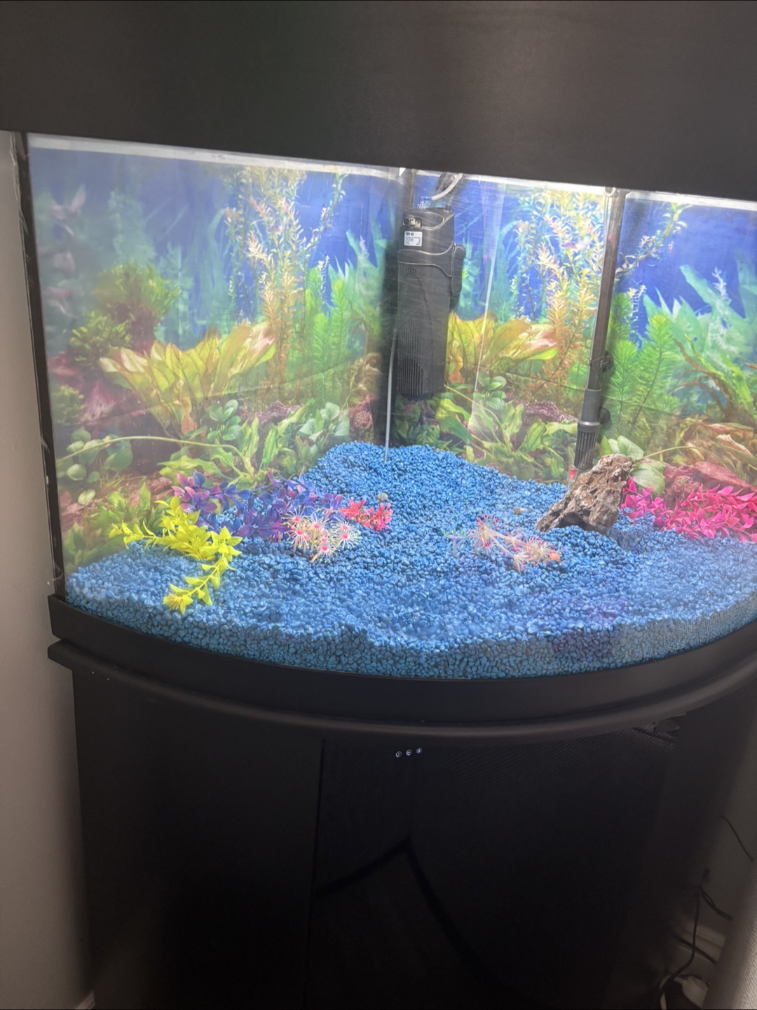 Corner 55 gallon corner fish tank with stand and extras - photo 2