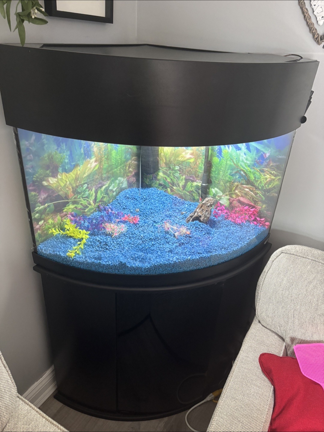 Corner 55 gallon corner fish tank with stand and extras