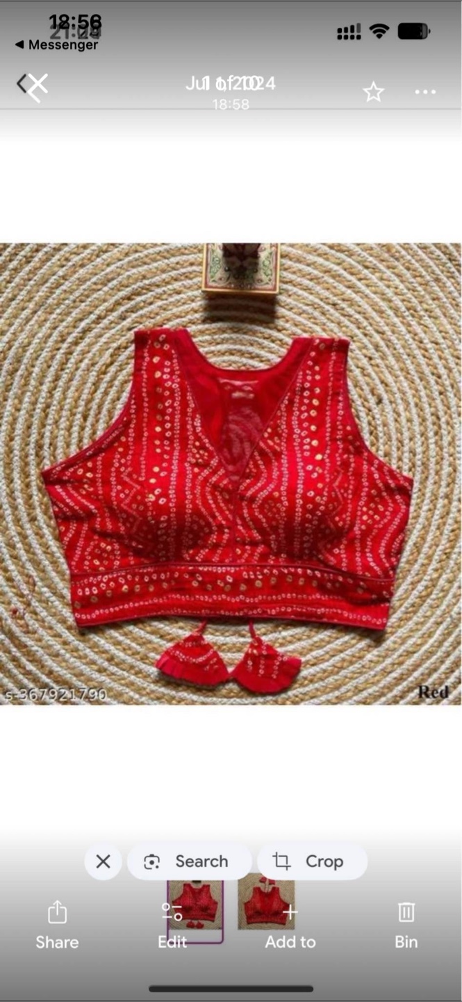 Assorted Sari Blouses - Variety of Styles - photo 3