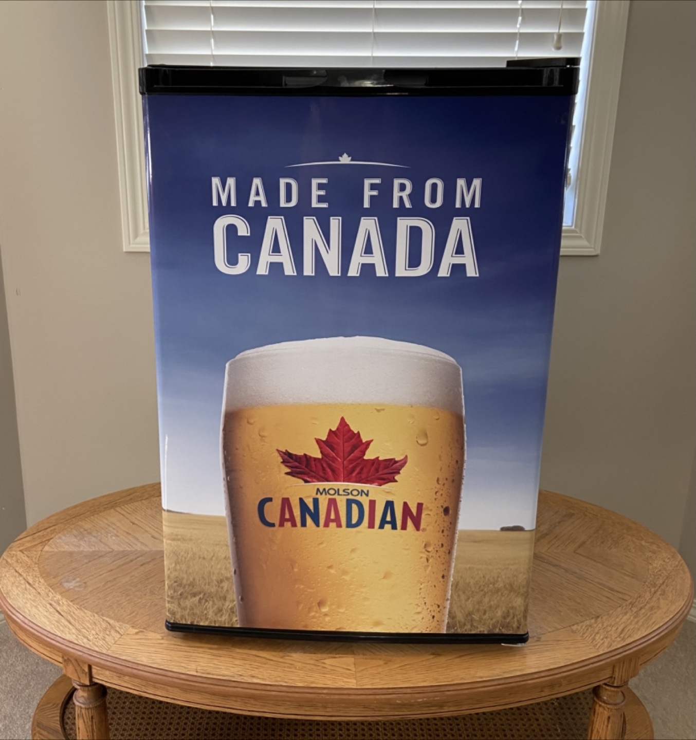 Molson Canadian Mini Fridge