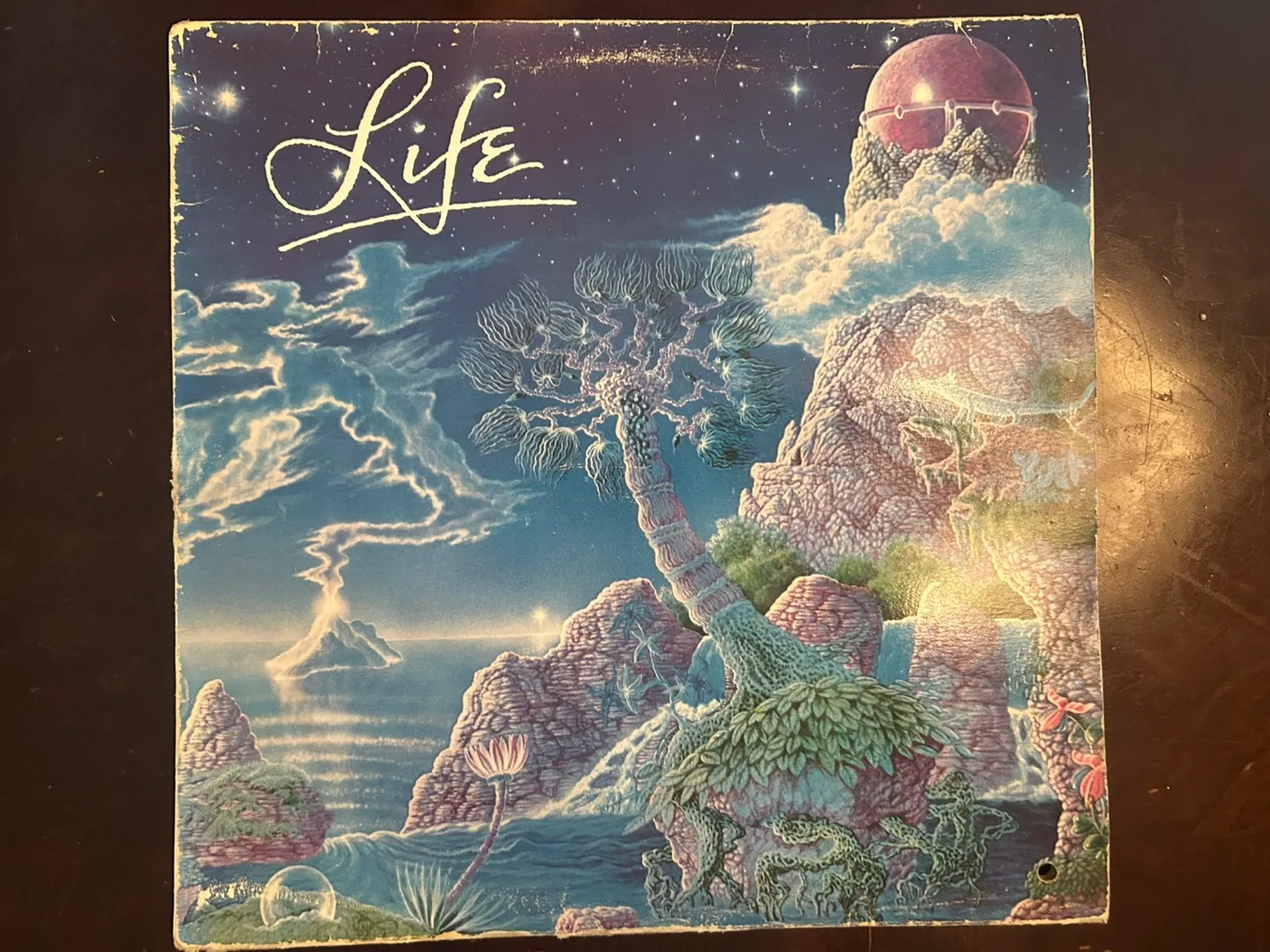 George Terry & Kitty Woodson - Life Vinyl Record thumbnail