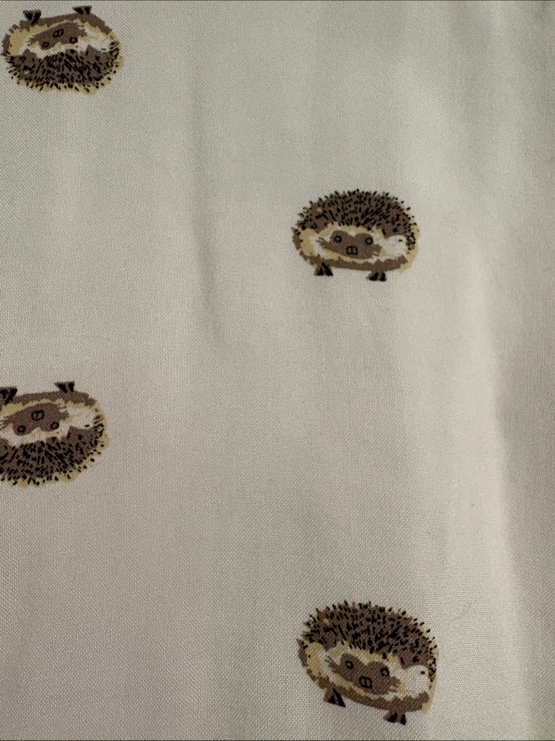 Japna Hedgehog Print Shirt - Size M🇨🇦🍁
