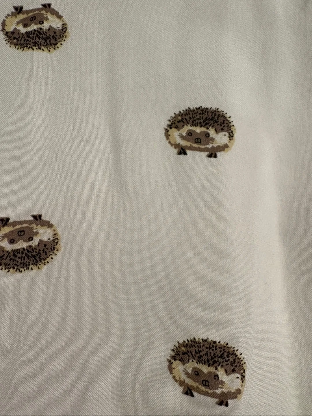 Japna Hedgehog Print Shirt - Size M🇨🇦🍁 thumbnail