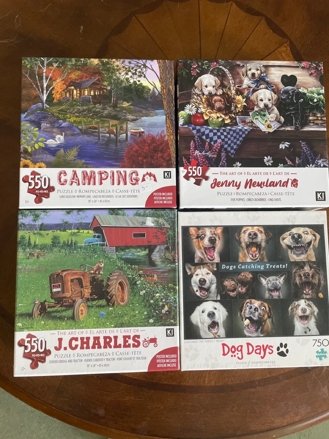 KI Puzzles: Camping, Jenny Newland, J.Charles, Dog Days thumbnail