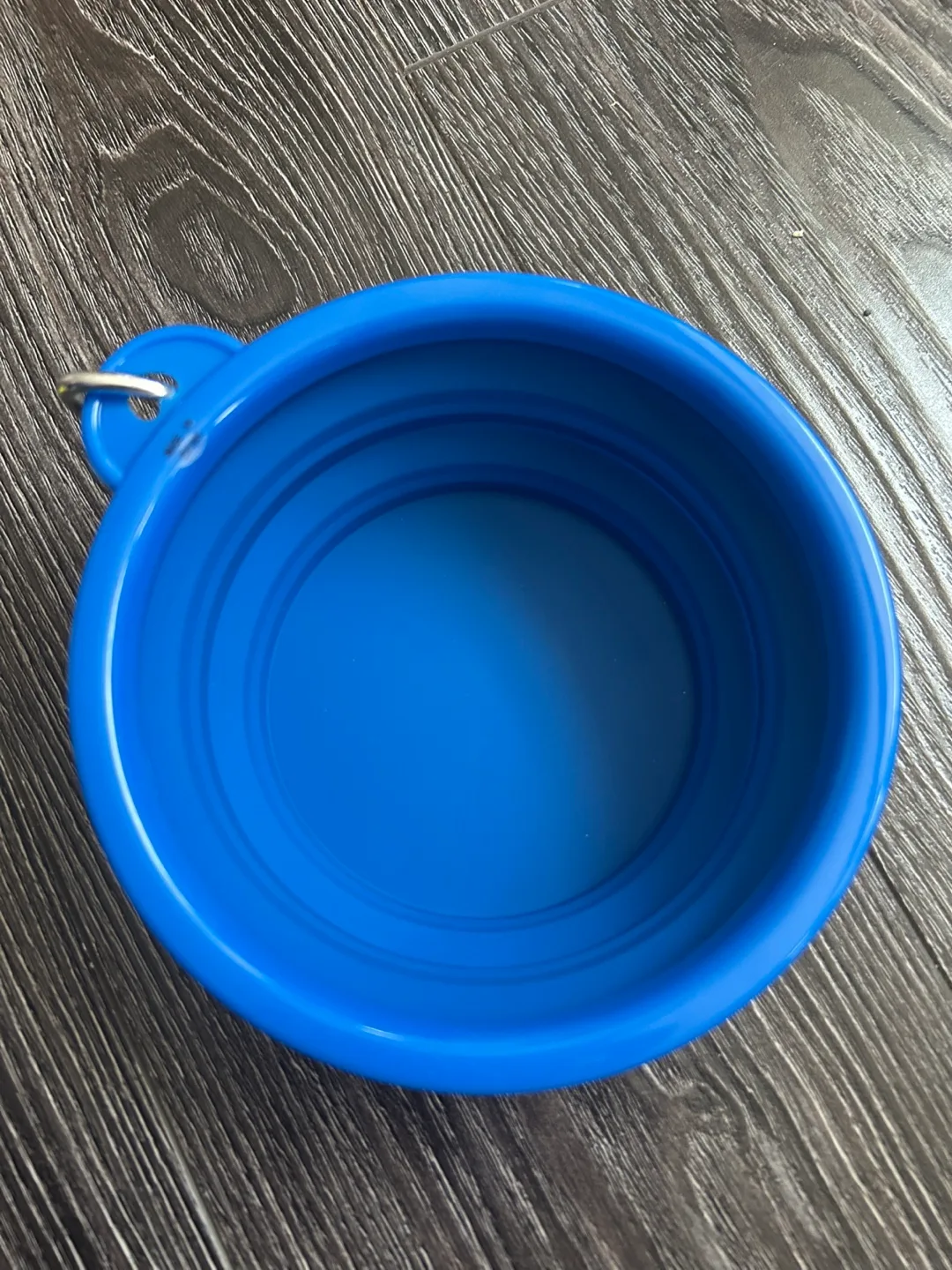 🍁🥕A portable dog bowl thumbnail