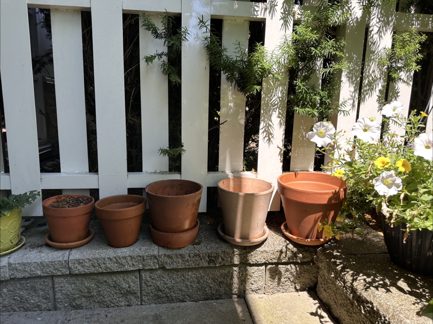 Plant Pots