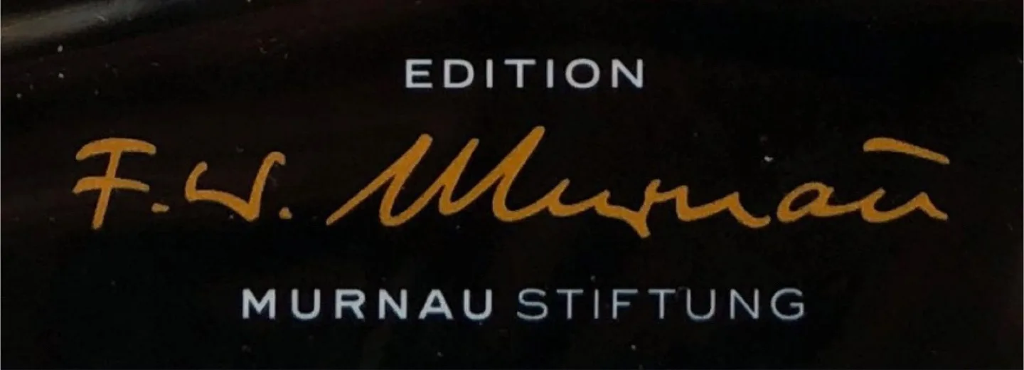 Metropolis - 3 Disc Special Edition DVD - OOP German Language image indicator(5)