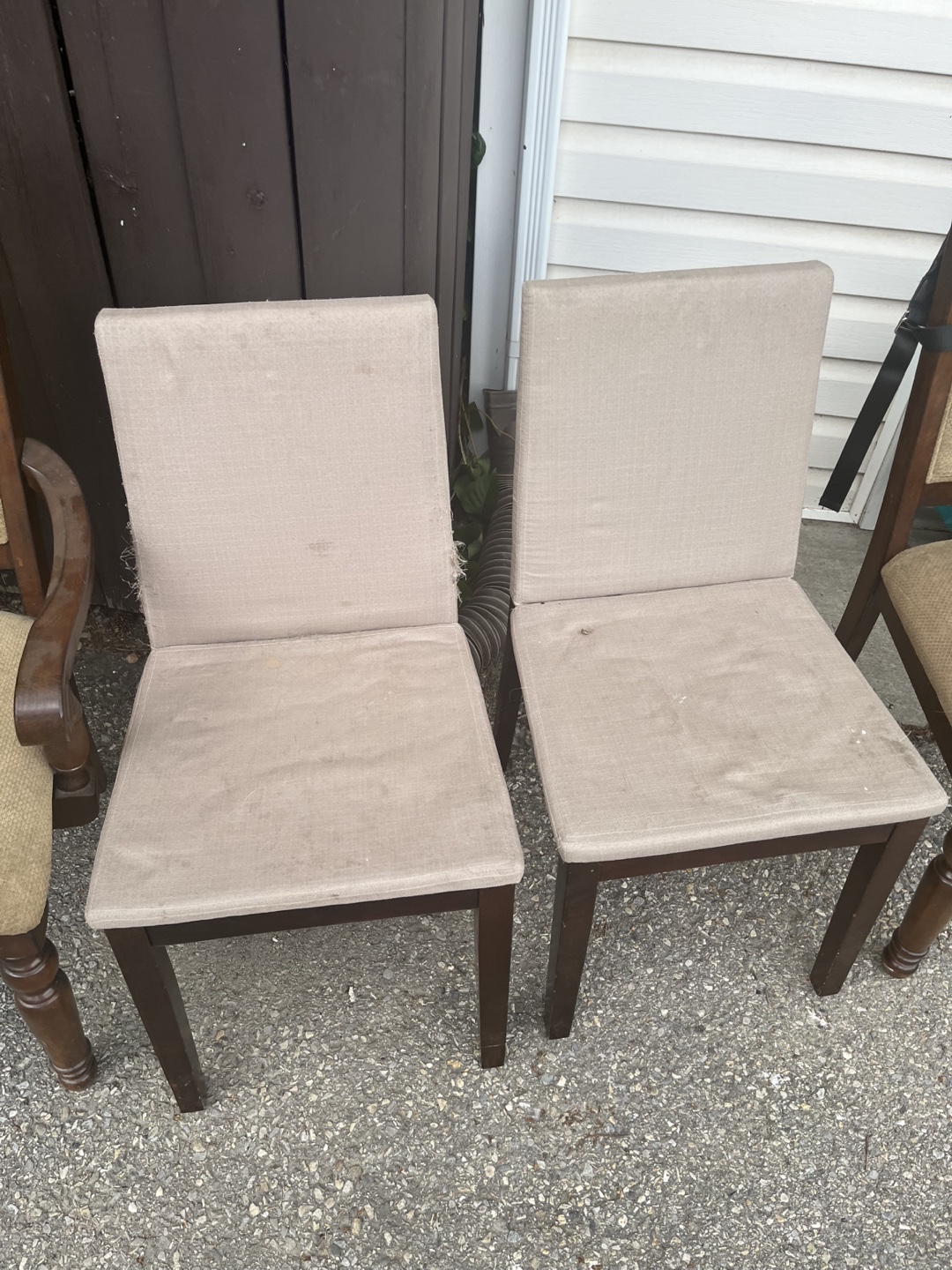 Used Dining Chairs - Set of 2