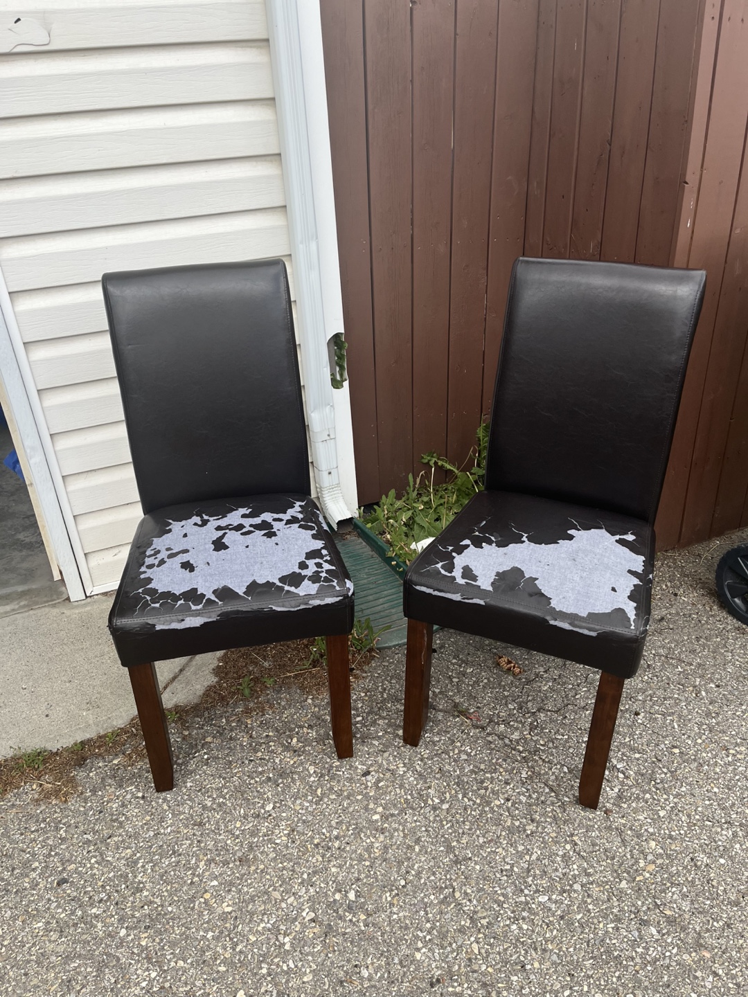 Used Dining Chairs - Set of 2 - photo 2