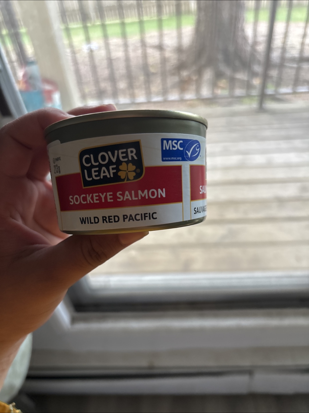 Pack of 24 Clover Leaf Sockeye Salmon