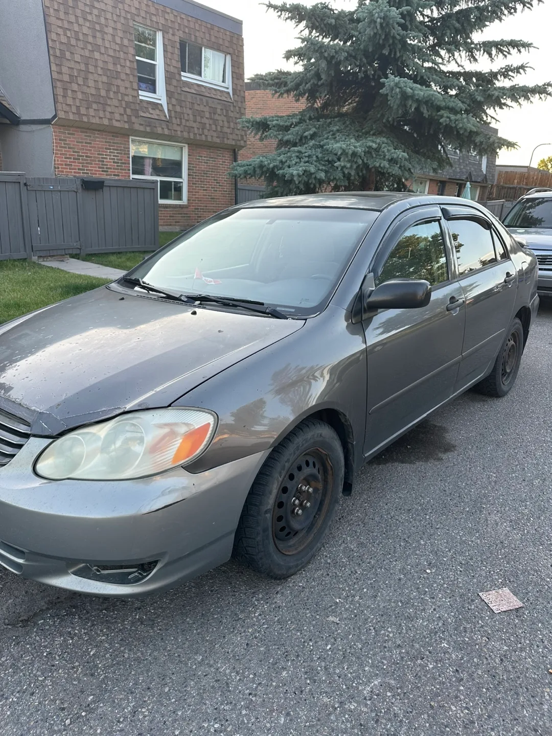 Gray Toyota Corolla thumbnail