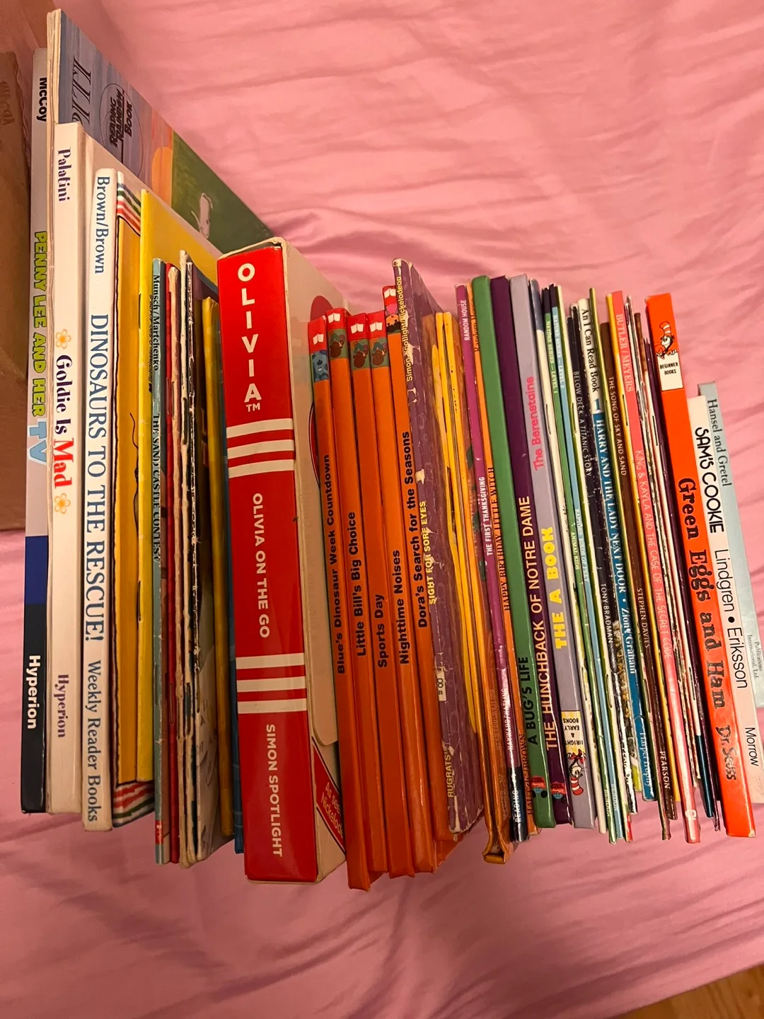 Kids Books Lot - Olivia, Summer Bridge, and More! image indicator(2)