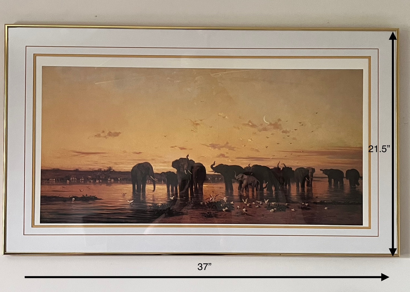 🇨🇦Framed Elephant Print #freecycle
