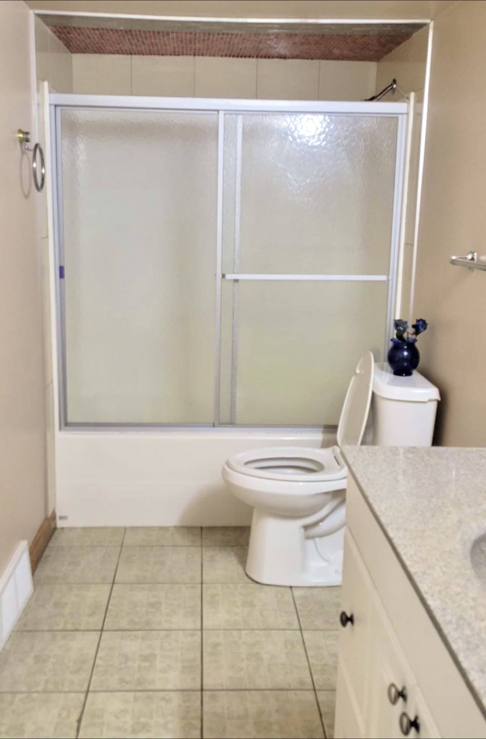 Bathtub Sliding Window Door