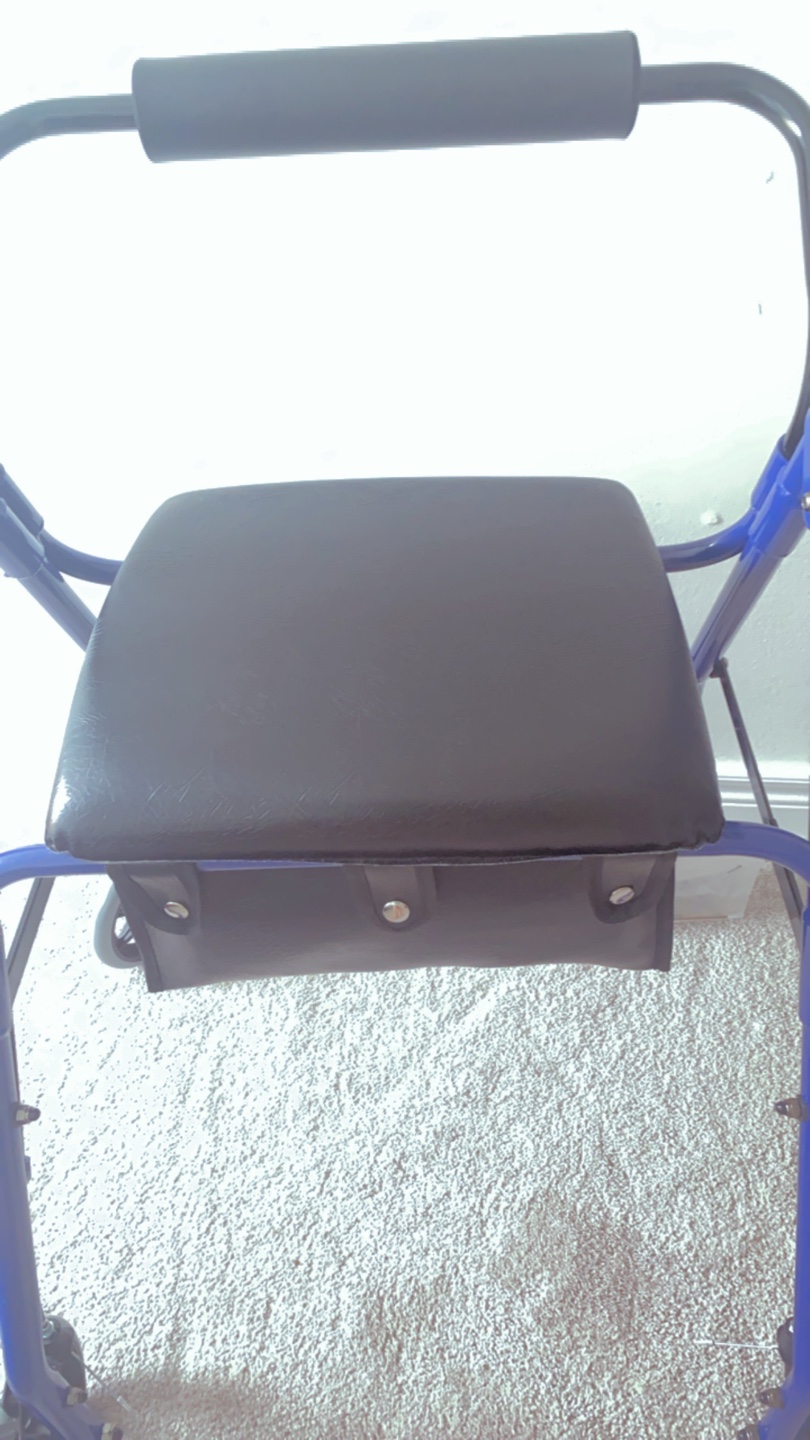 Cardinal Health Blue Walker with Seat - photo 4
