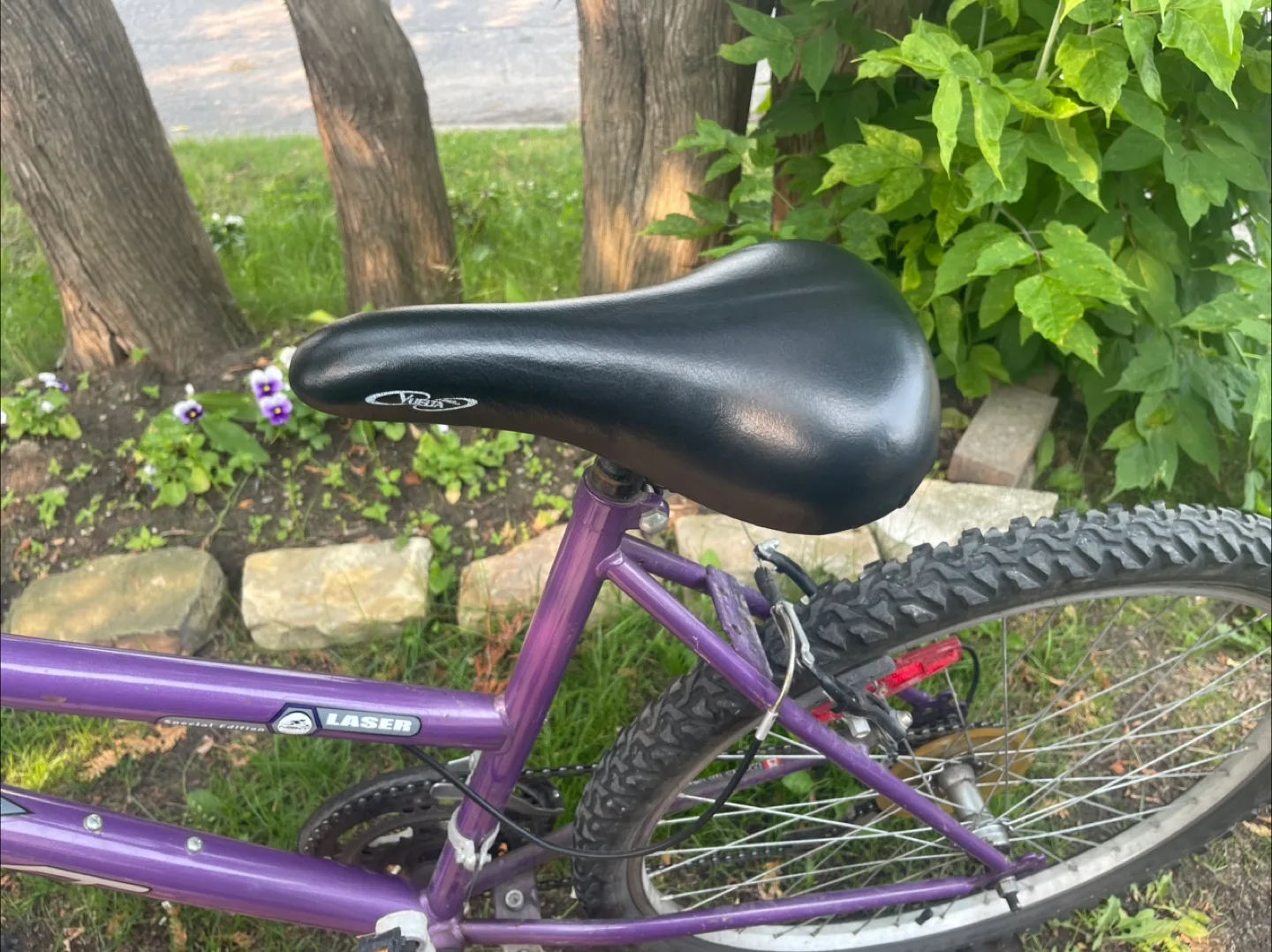 Purple Laser Special Edition Mountain Bike image indicator(2)