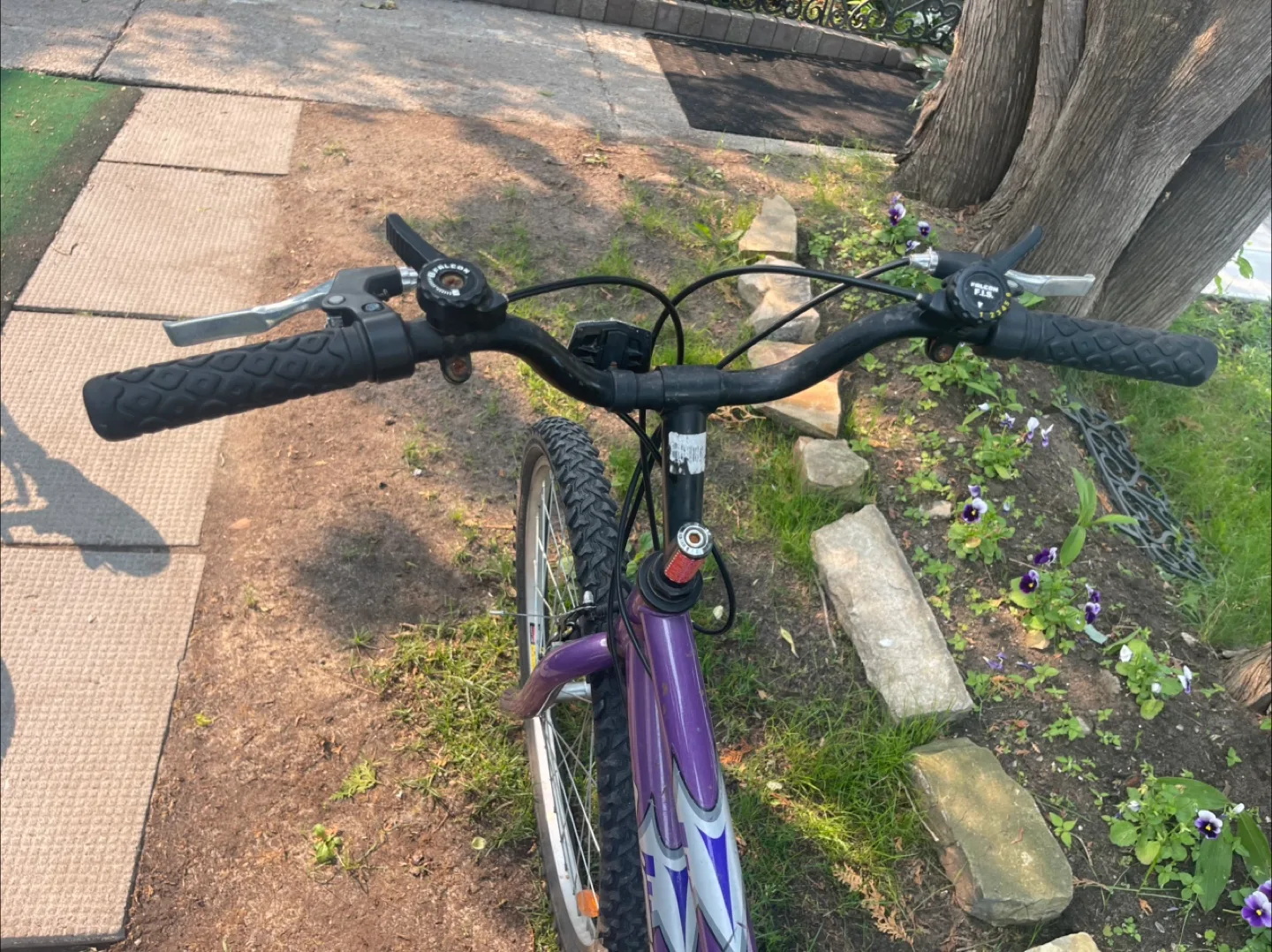 Purple Laser Special Edition Mountain Bike image indicator(5)