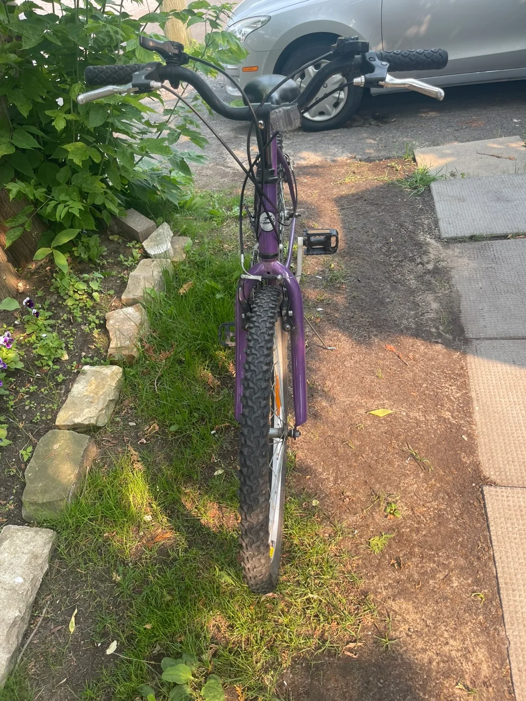 Purple Laser Special Edition Mountain Bike image indicator(6)