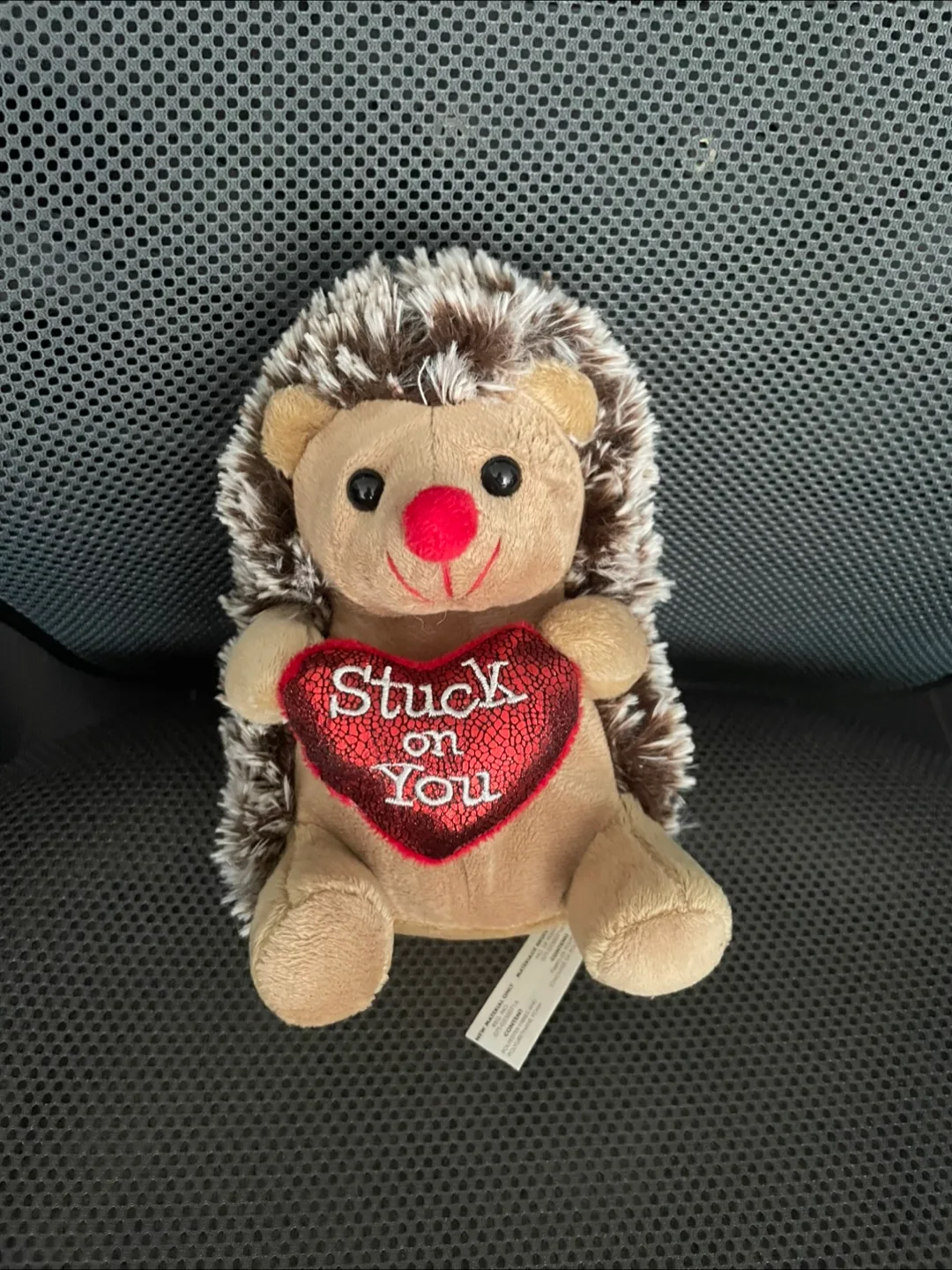 Hedgehog Plush Toy - "Stuck on You" Heart thumbnail