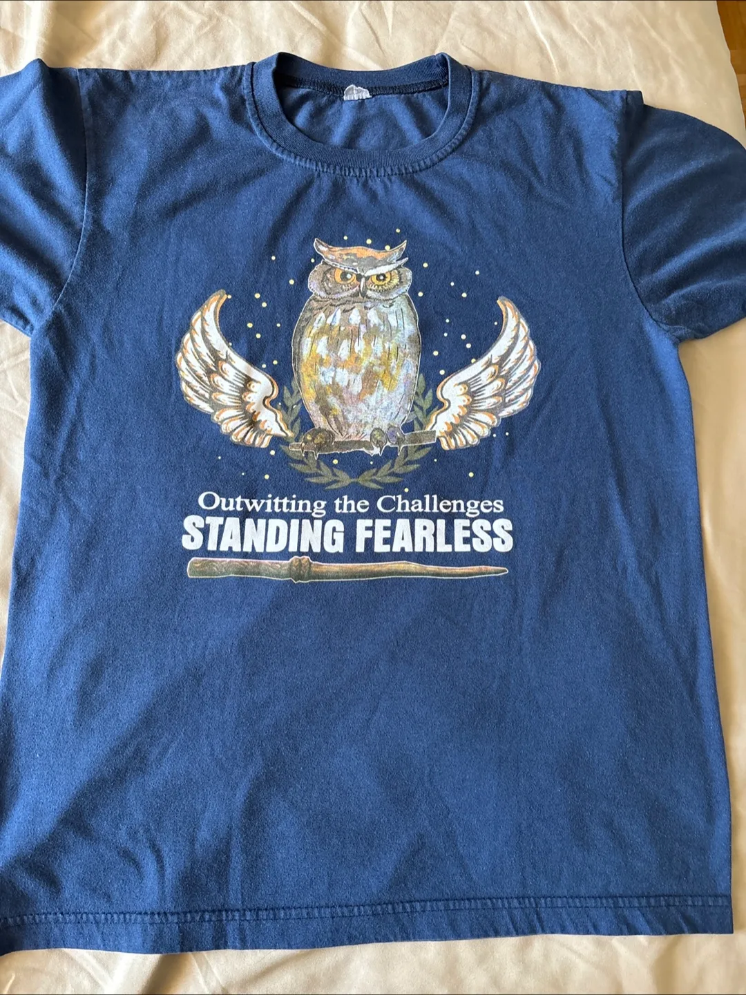 🇨🇦Blue Owl Graphic Tee thumbnail