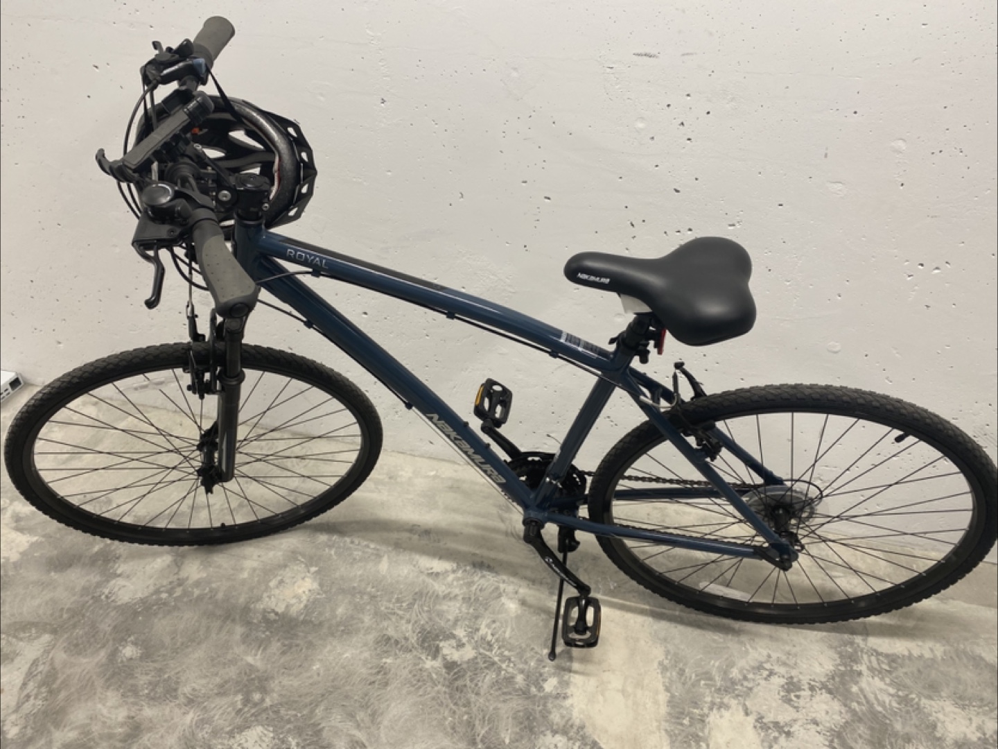 Nakamura Royal Hybird Bike