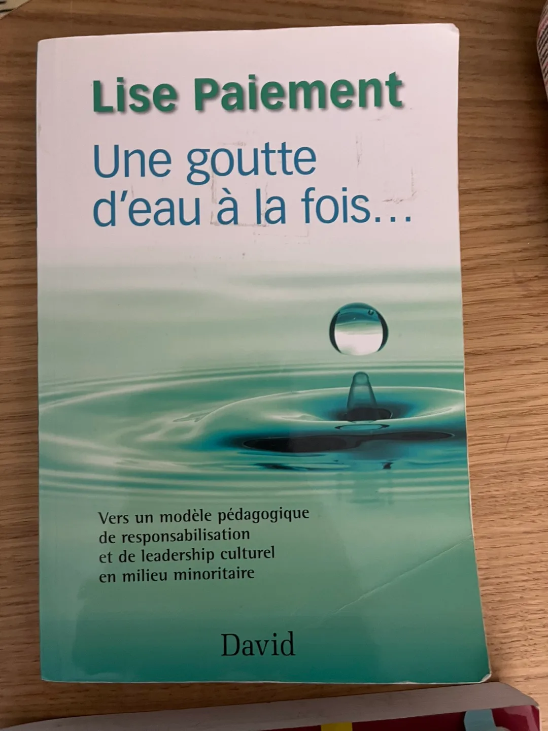 Lise Paiement: Une goutte d'eau à la fois thumbnail
