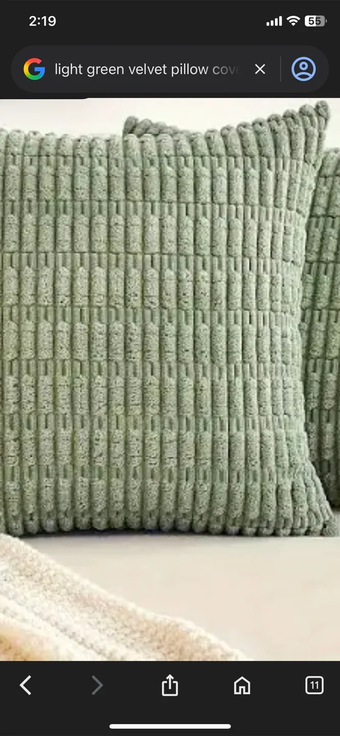 Brand new Light Green Velvet Pillow Cover thumbnail