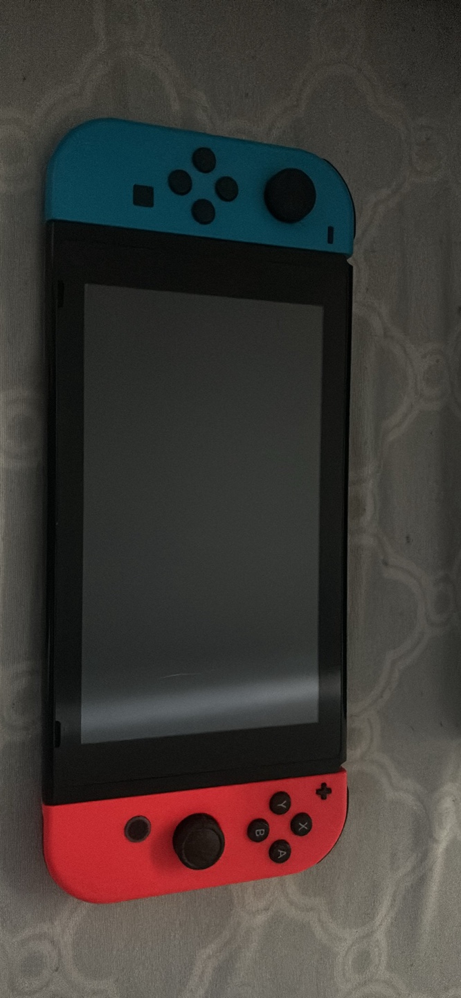 Nintendo Switch Console