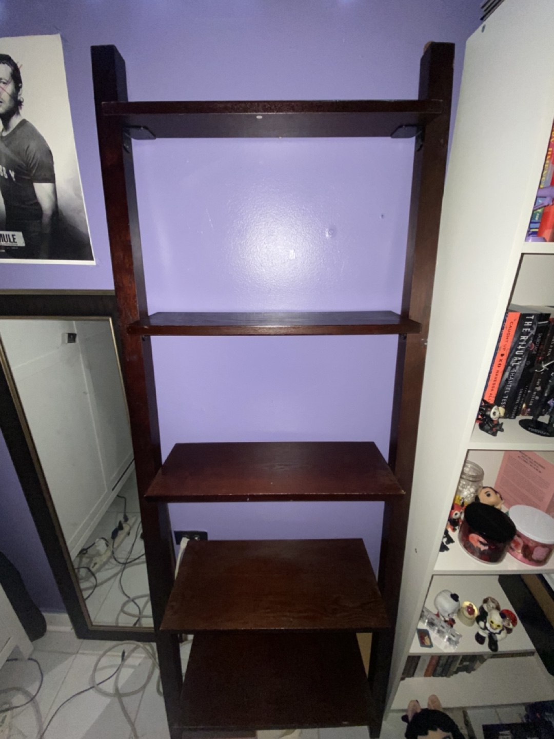 Ladder Shelf