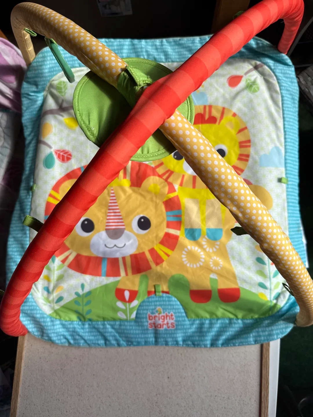 Bright Starts Activity Gym