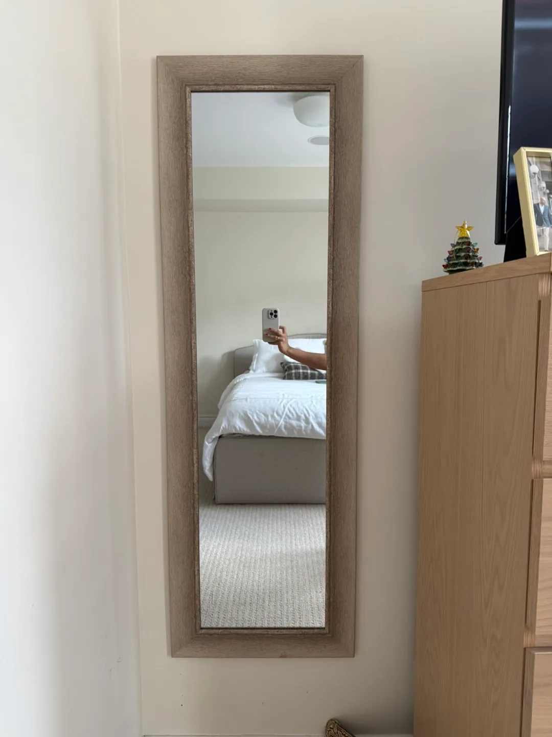Framed Full-Length Wall Mirror (17x53 in) thumbnail