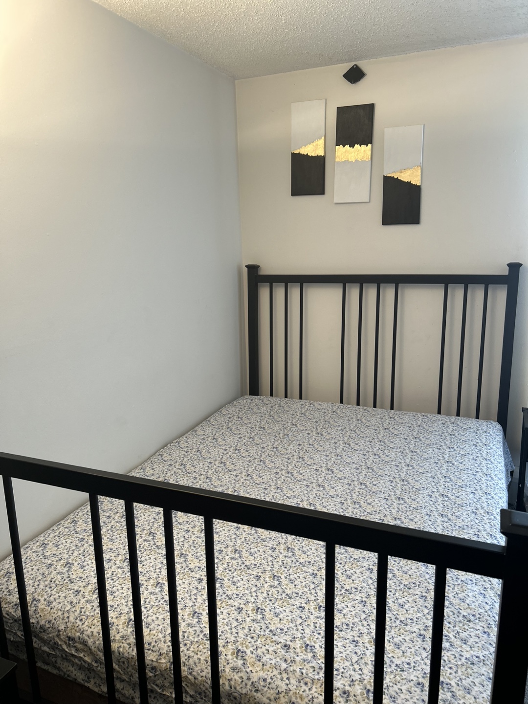 Queen Size Black Metal Bed Frame