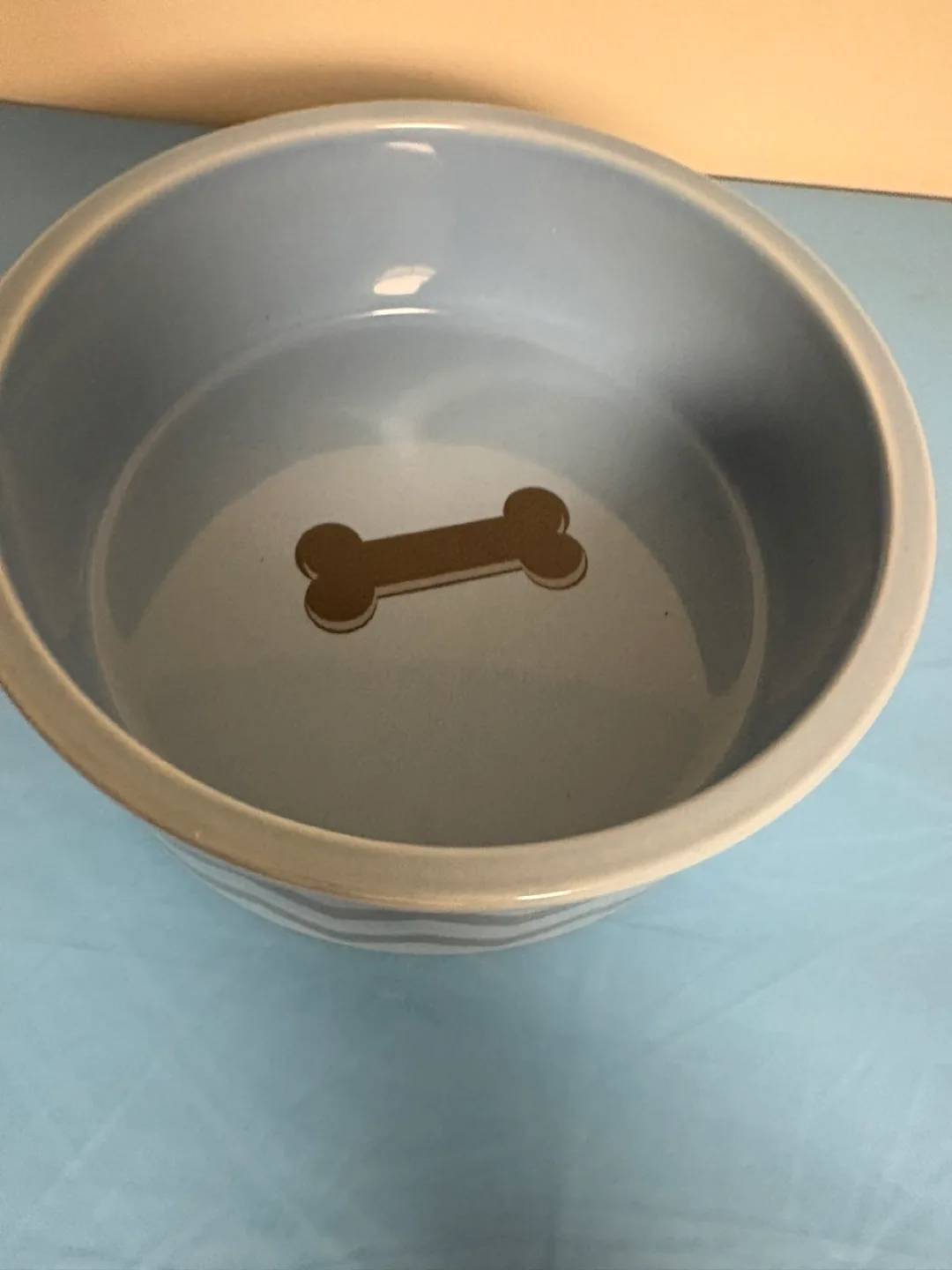 Dog Bowl - Light Blue thumbnail