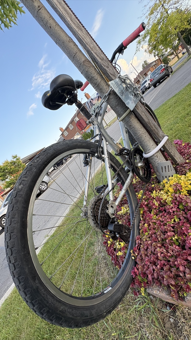 Schwinn Mountain Bike - photo 2