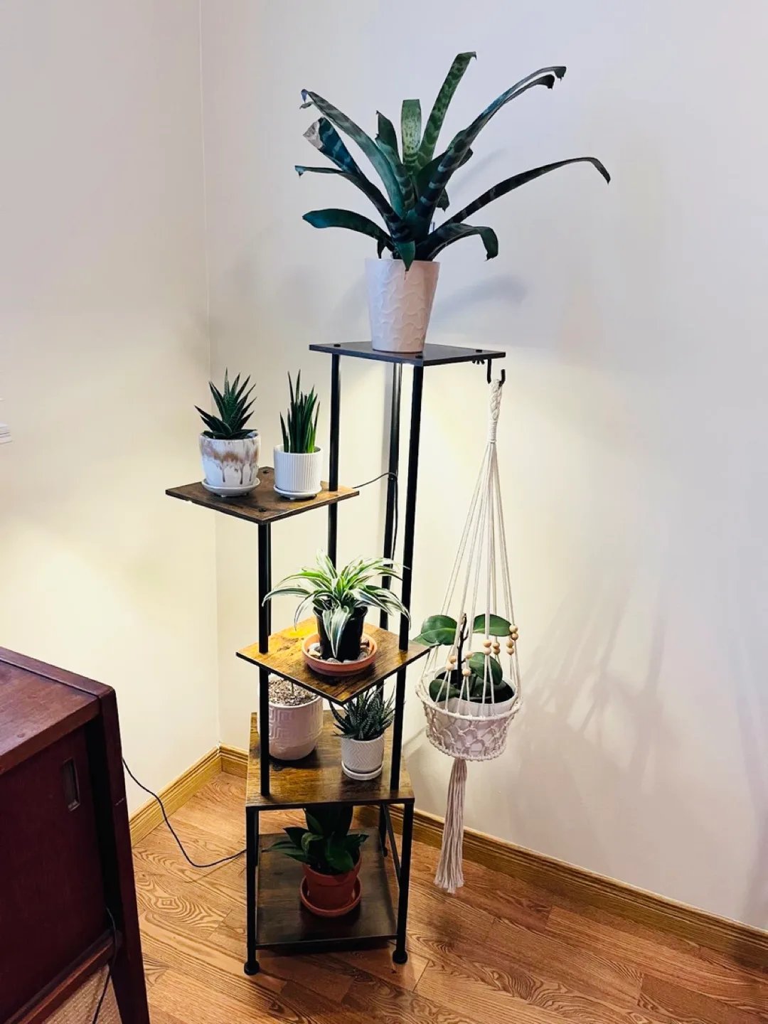NEW* comes  free plant - 5-Tier plant stand grow lights thumbnail