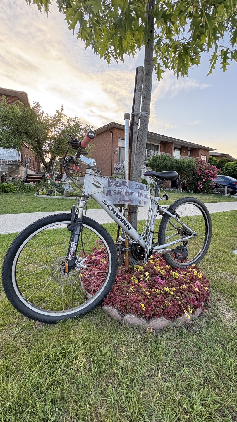 Schwinn Mountain Bike