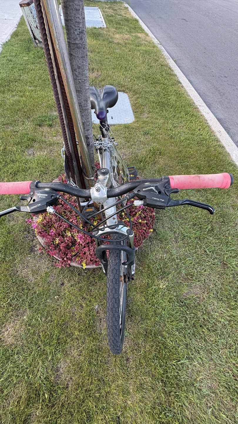 Schwinn Mountain Bike - photo 3