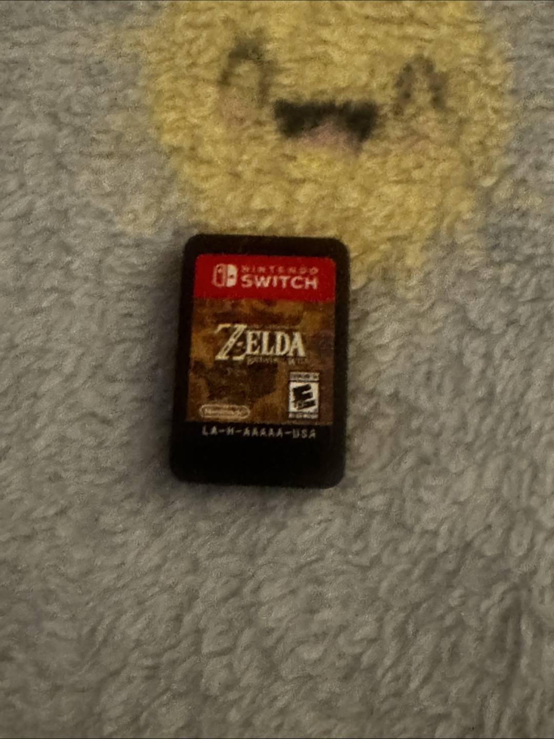 Nintendo Switch Zelda Game
