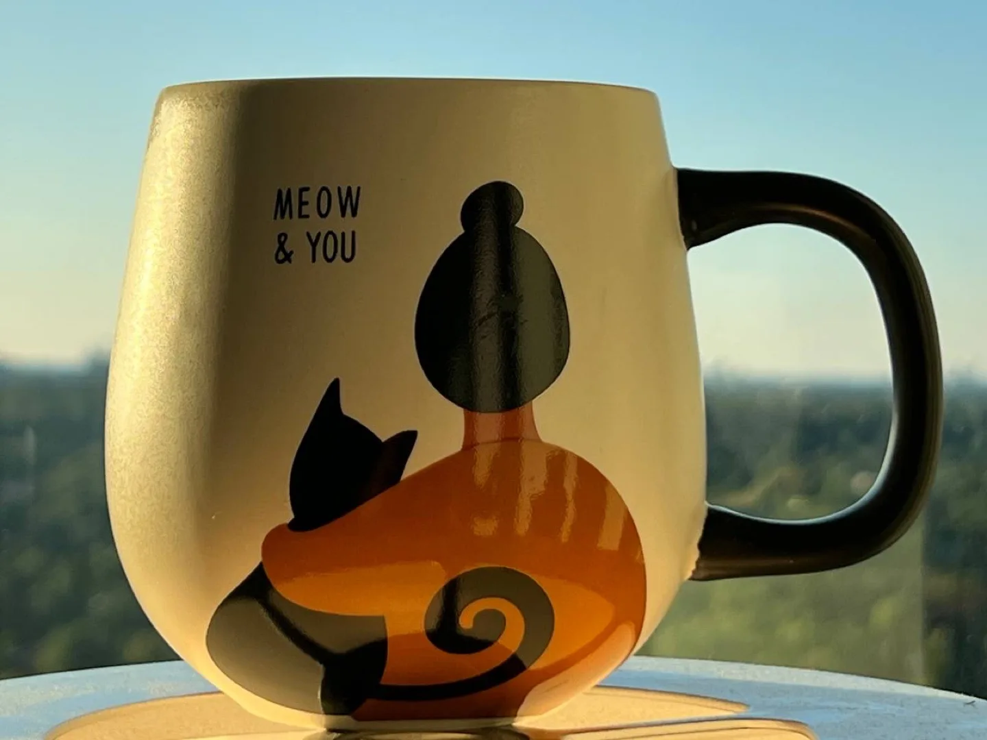 Meow & You Mug thumbnail