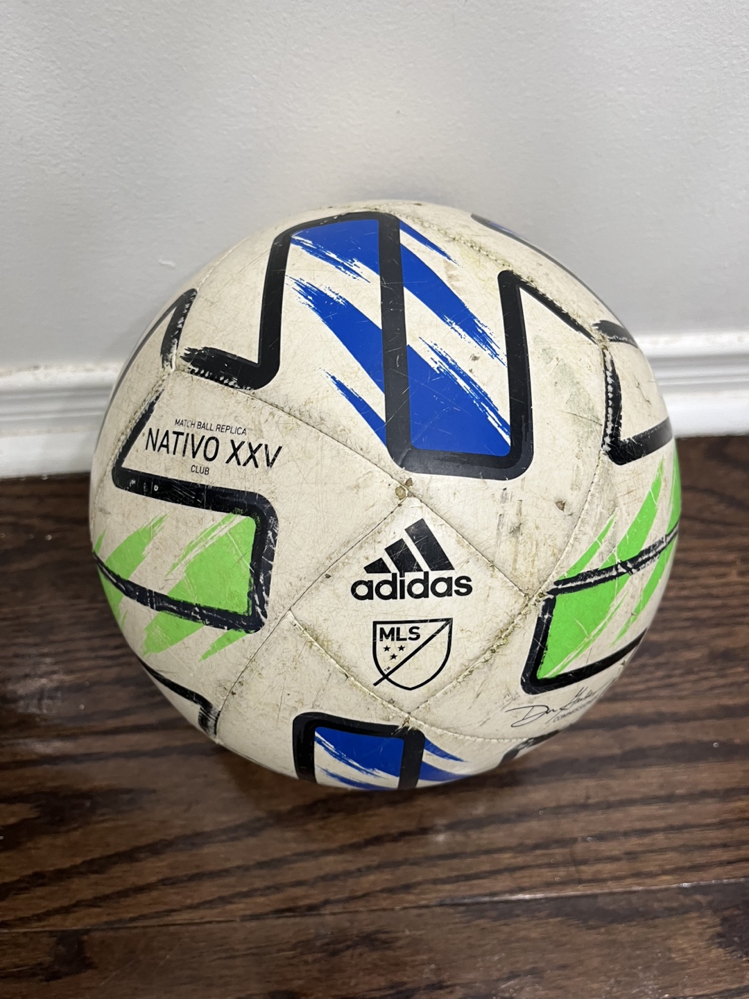 Adidas Nativo XXV Soccer Ball