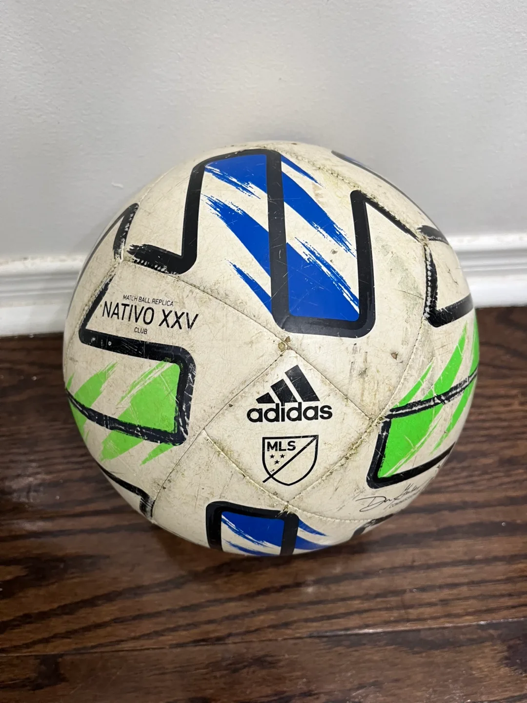 Adidas Nativo XXV Soccer Ball thumbnail