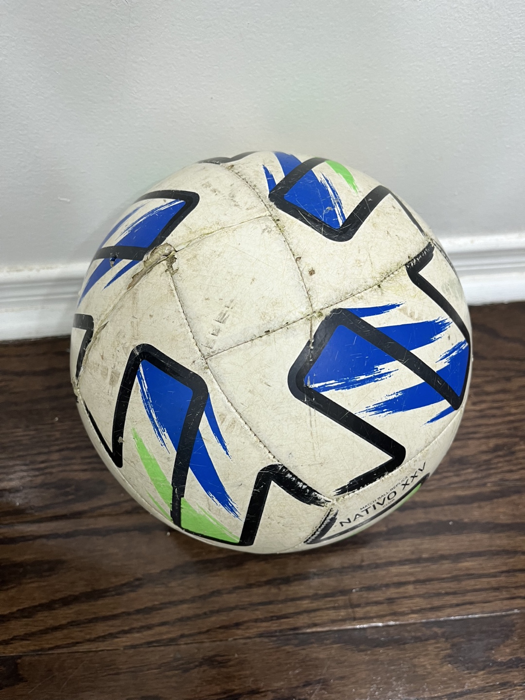 Adidas Nativo XXV Soccer Ball - photo 4