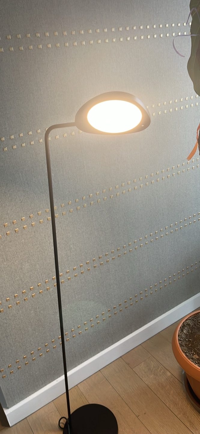 Modern Black Floor Lamp - photo 4