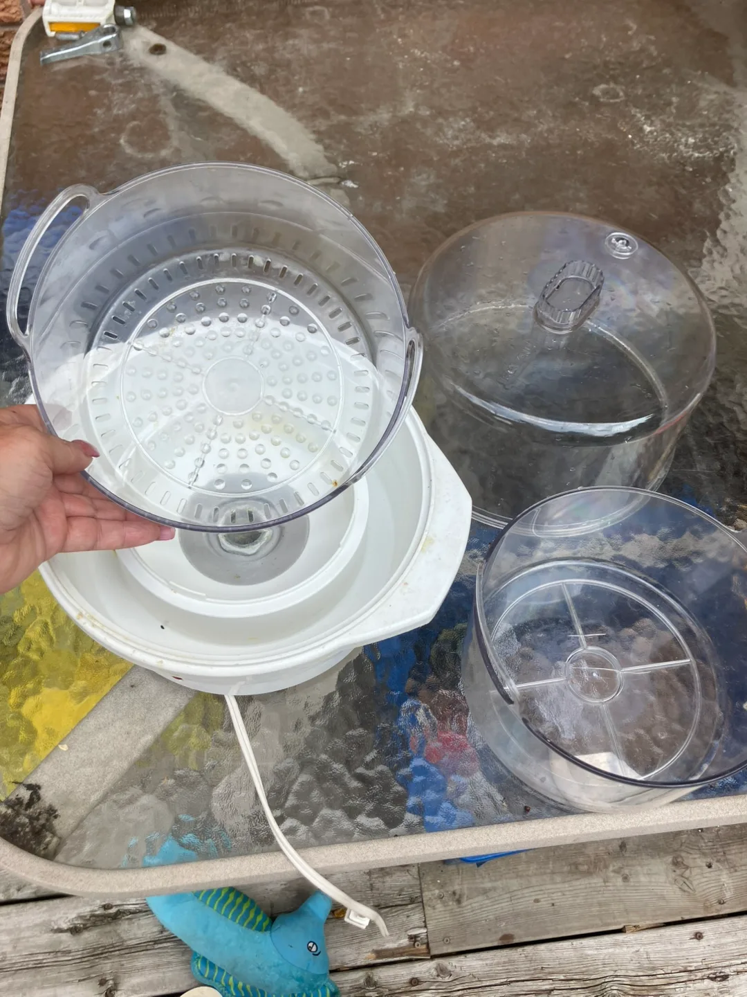 **last price-Rival Automatic Steamer and Rice Cooker C4460 image indicator(2)