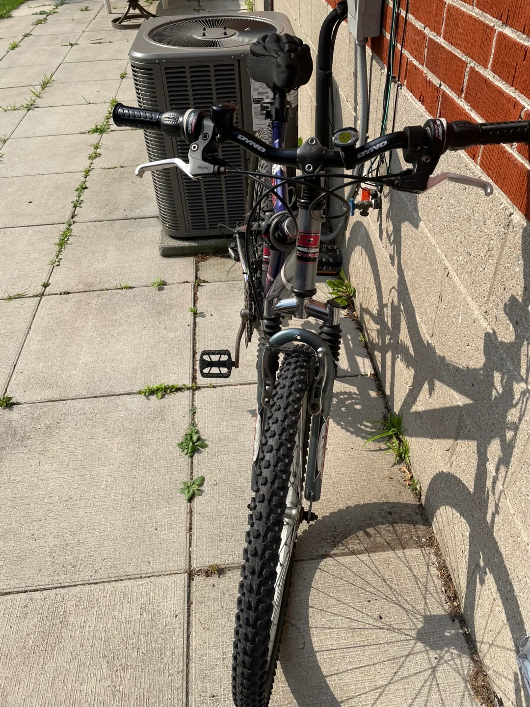 Dyno VTO Mountain Bike image indicator(2)