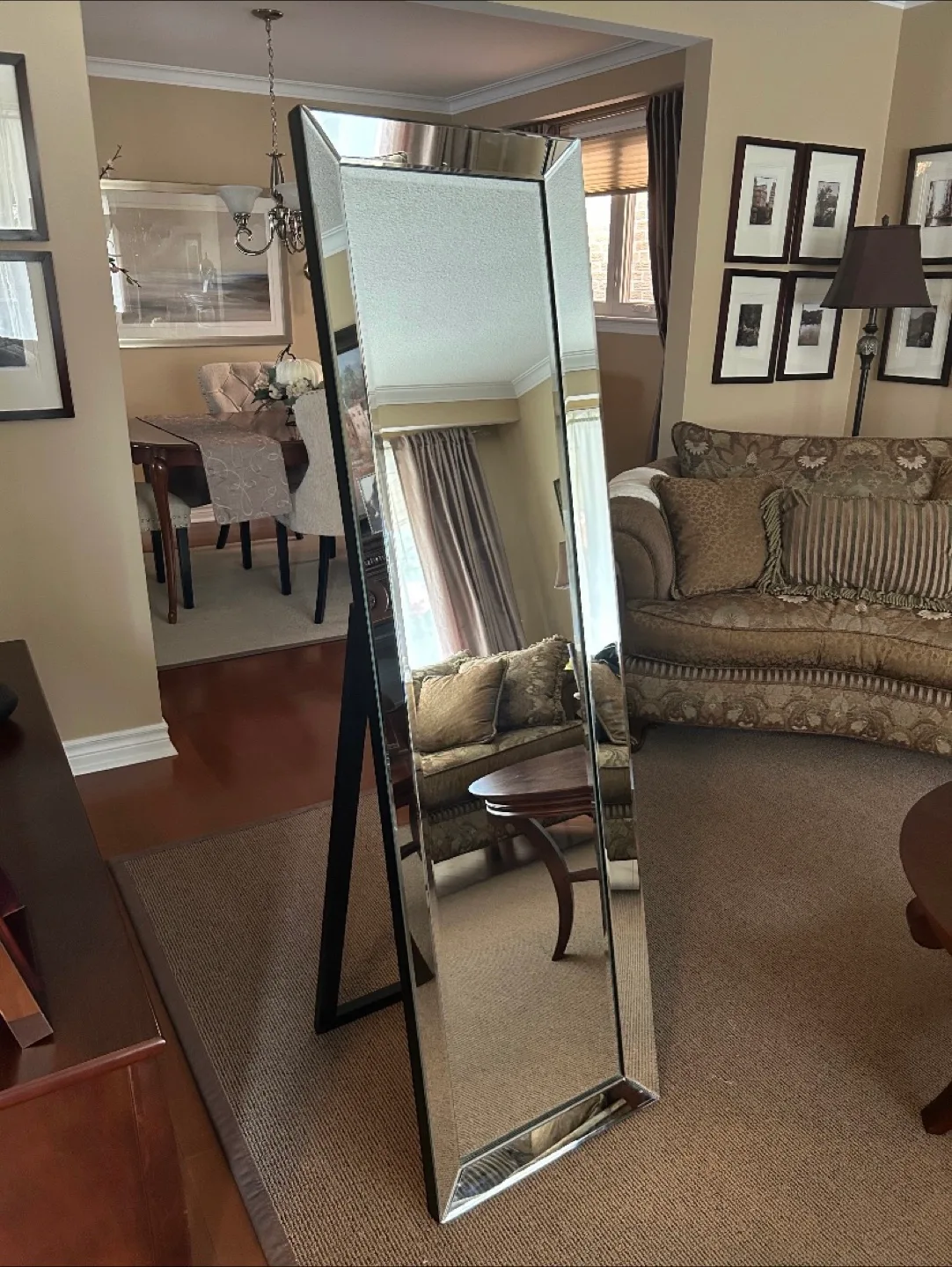 Full Length Rectangular Mirror image indicator(5)