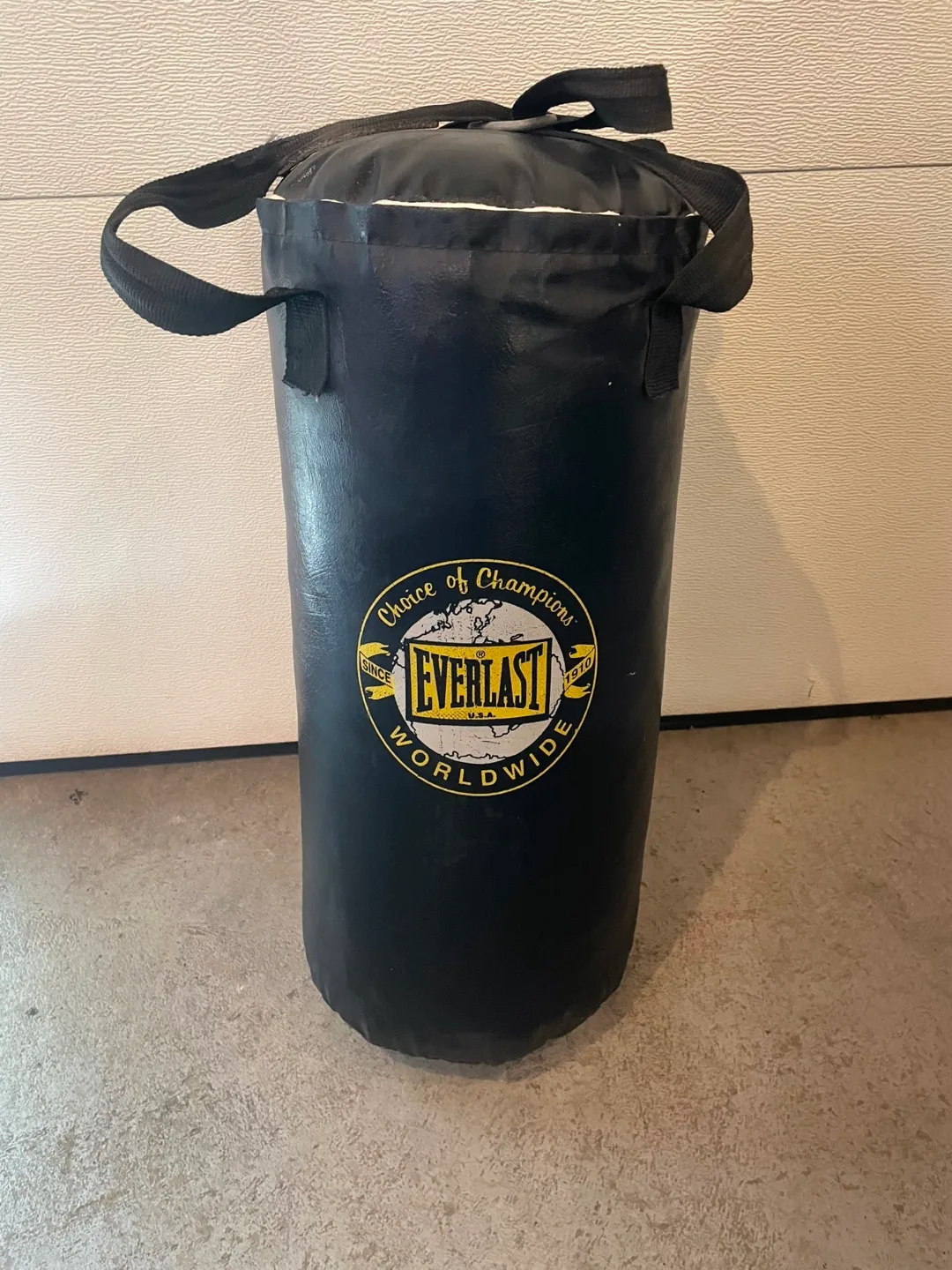 Everlast Punching Bag thumbnail