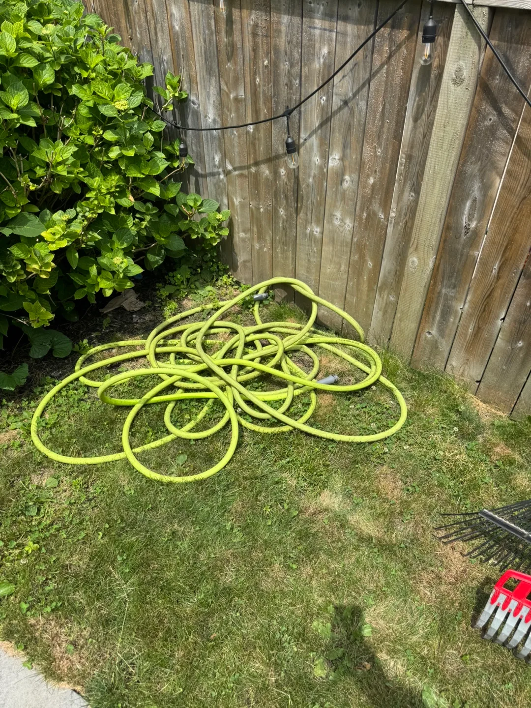 Flexilla 50’ garden hose thumbnail