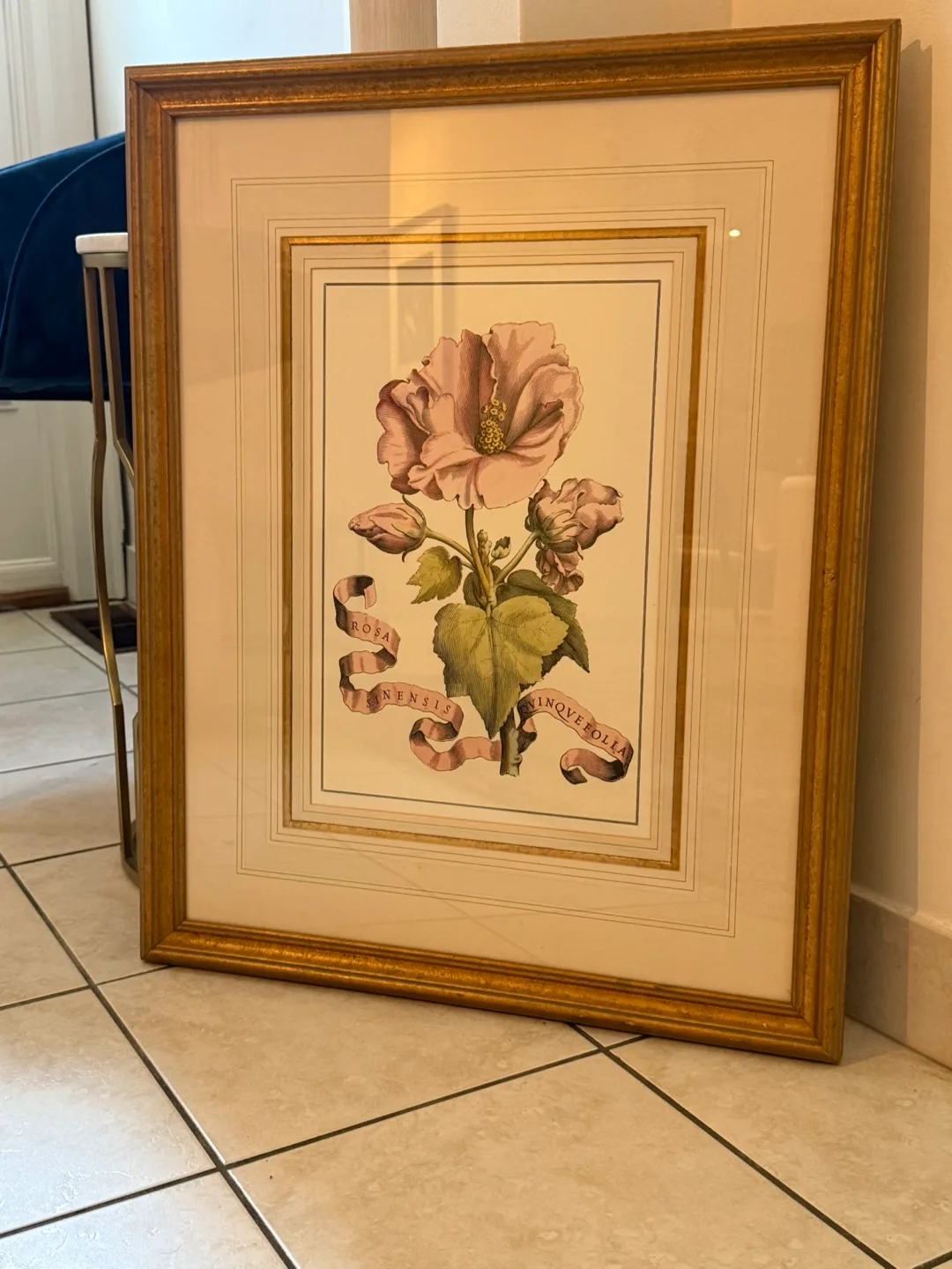 Framed Floral Botanical Print thumbnail